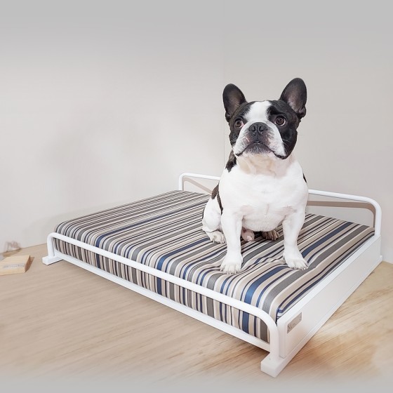 Cama Diván (Para perros...