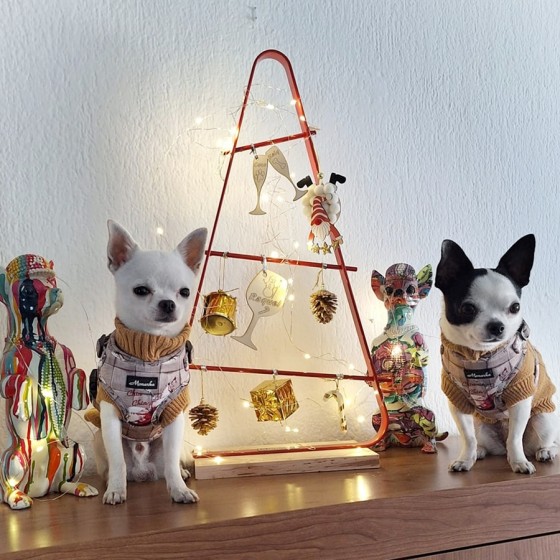 ÁRBOL DE NAVIDAD MODELO...