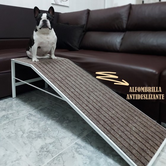 RAMPA PARA PERROS...