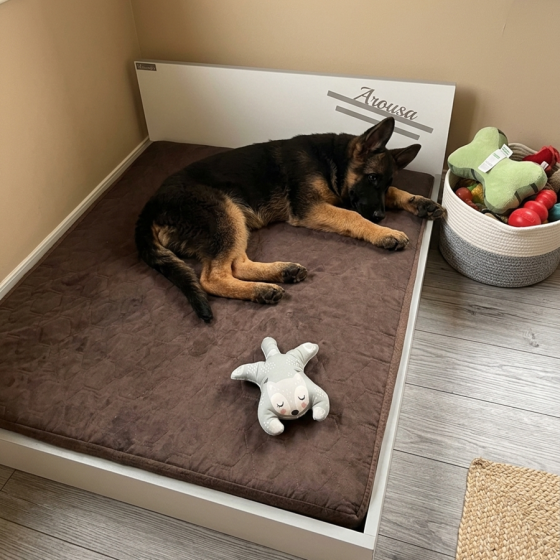 Cama Trazo (Para perros...