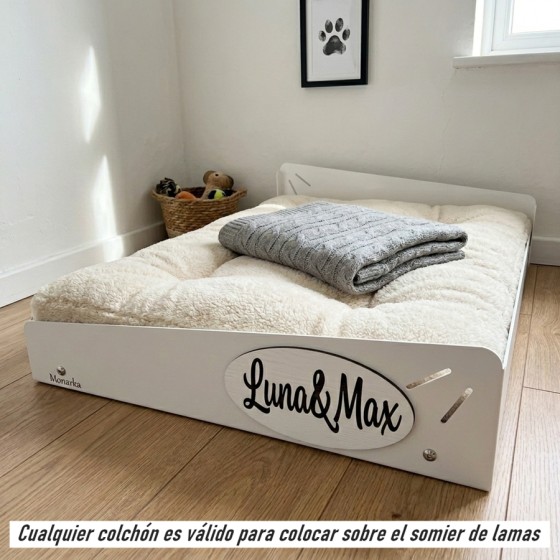 Cama Espacial (Para perros...