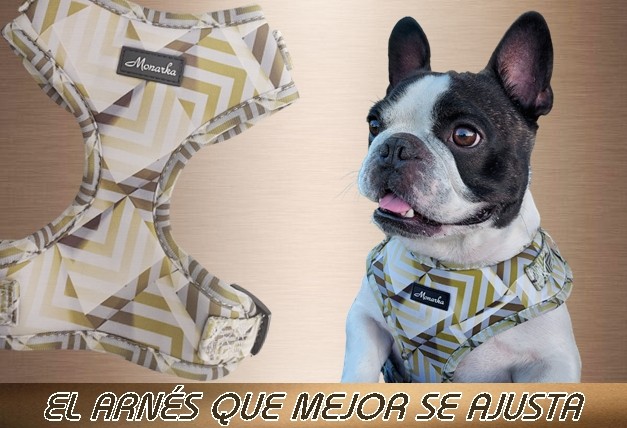 Arneses