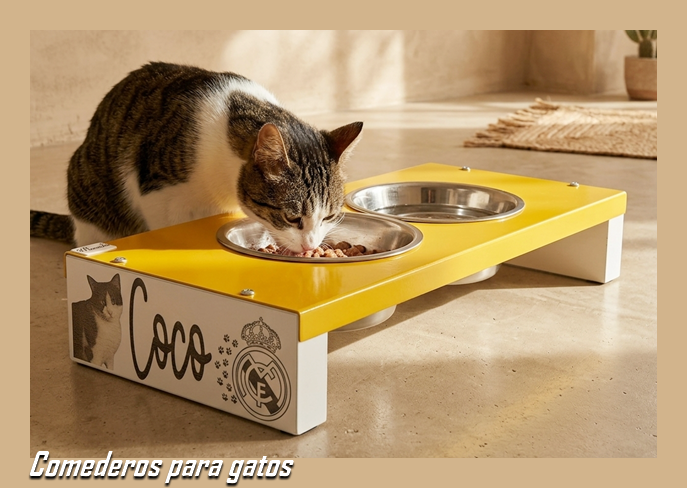 ESPECIAL GATOS
